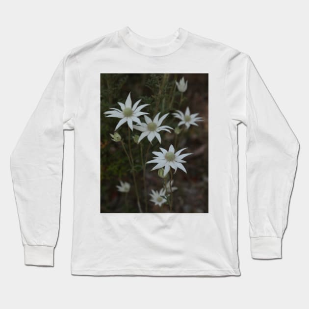 Flannel Flowers in Oatley Park Long Sleeve T-Shirt by Michaelm43